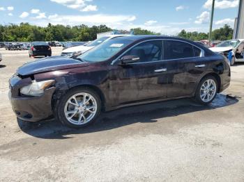  Salvage Nissan Maxima