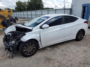  Salvage Hyundai ELANTRA