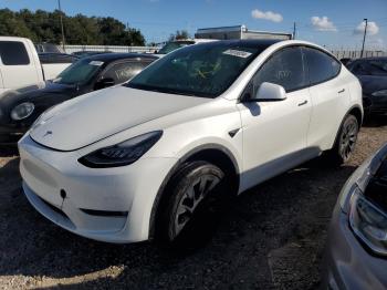  Salvage Tesla Model Y