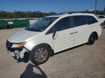  Salvage Honda Odyssey