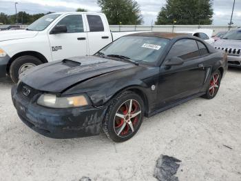  Salvage Ford Mustang