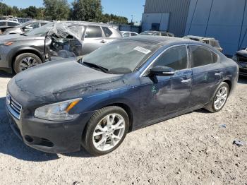  Salvage Nissan Maxima