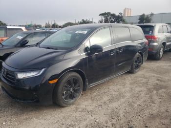  Salvage Honda Odyssey