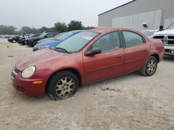  Salvage Dodge Neon