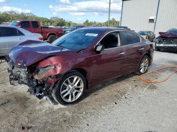  Salvage Nissan Maxima