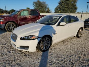  Salvage Jaguar XF