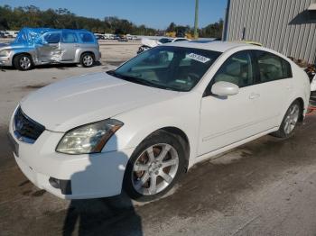  Salvage Nissan Maxima