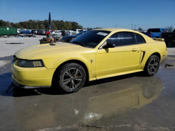  Salvage Ford Mustang