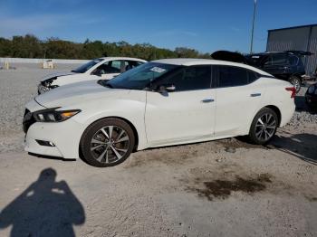  Salvage Nissan Maxima