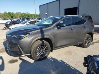  Salvage Lexus NX