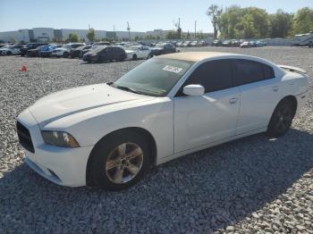  Salvage Dodge Charger