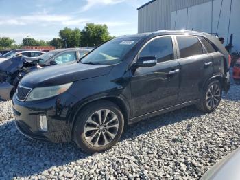  Salvage Kia Sorento