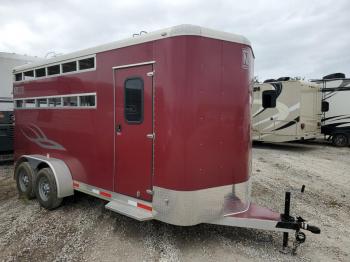  Salvage Shad Trailer