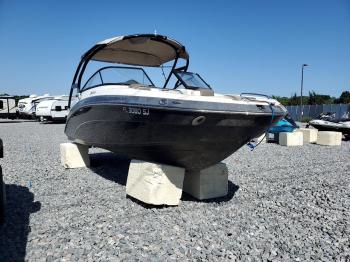  Salvage Yam Fl0250px