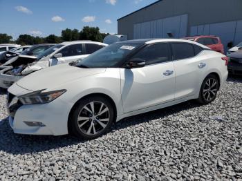  Salvage Nissan Maxima