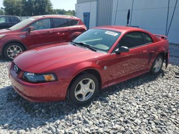  Salvage Ford Mustang