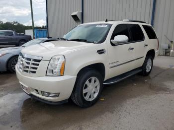  Salvage Cadillac Escalade