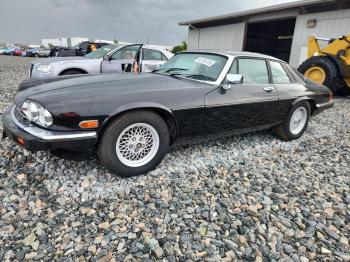  Salvage Jaguar Xjs
