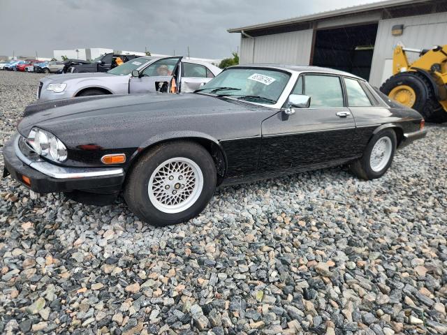  Salvage Jaguar Xjs