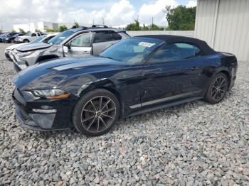  Salvage Ford Mustang