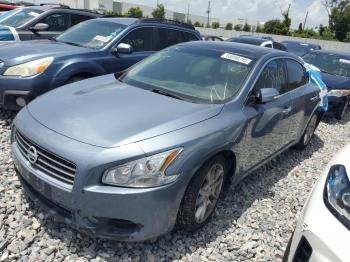  Salvage Nissan Maxima