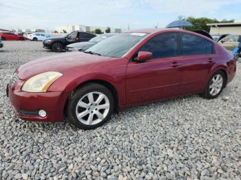  Salvage Nissan Maxima