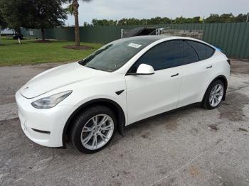  Salvage Tesla Model Y