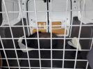 Ford Transit Xl Image 6