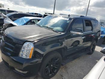  Salvage Cadillac Escalade