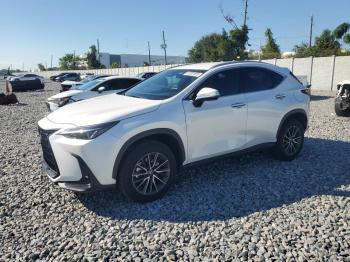  Salvage Lexus NX