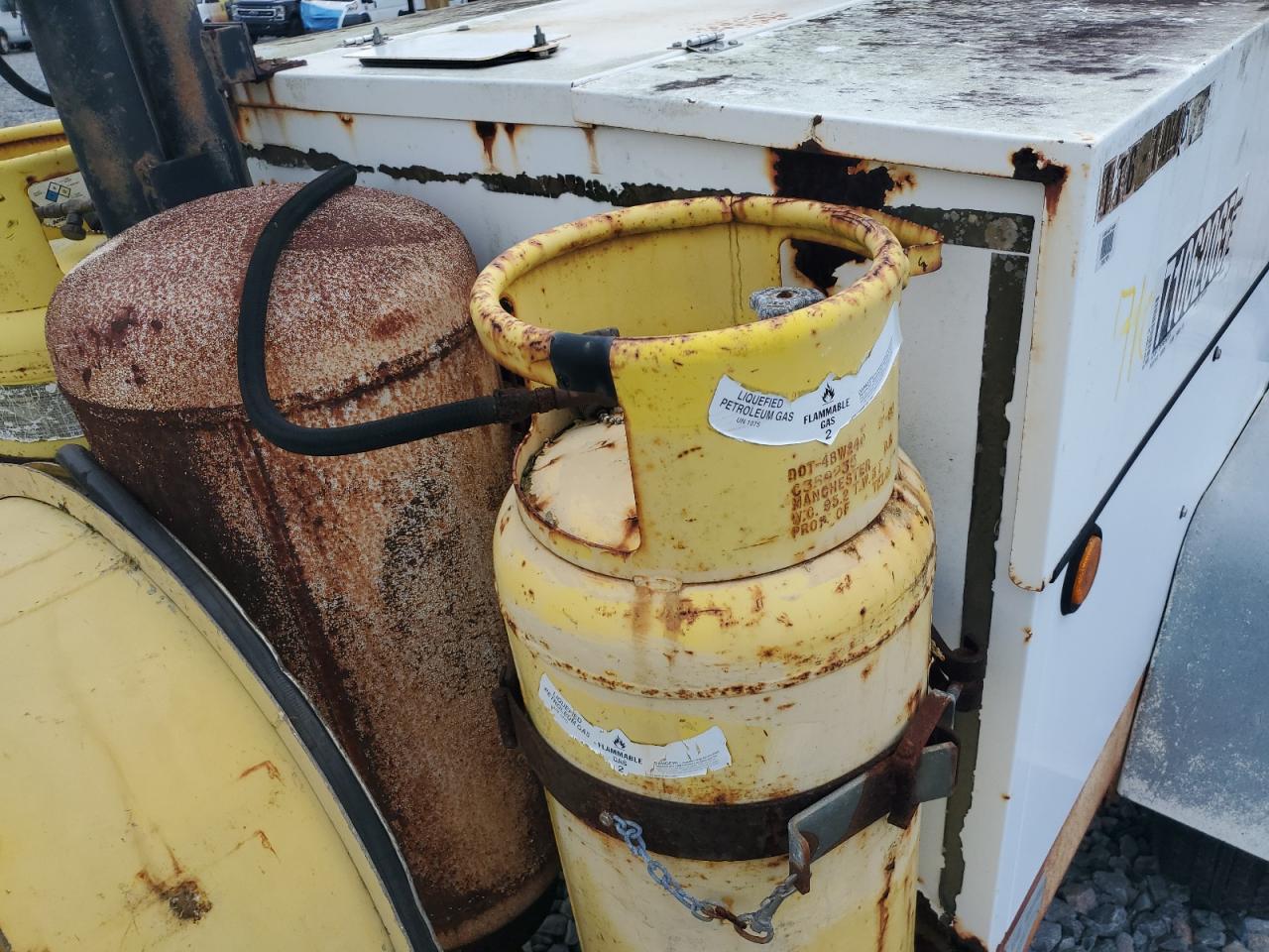 Team Fenex Other Image 2