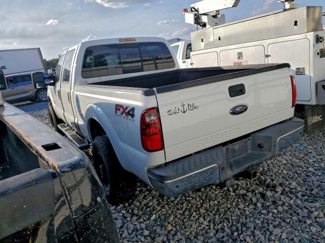 Ford F-250 Super Duty Image 2