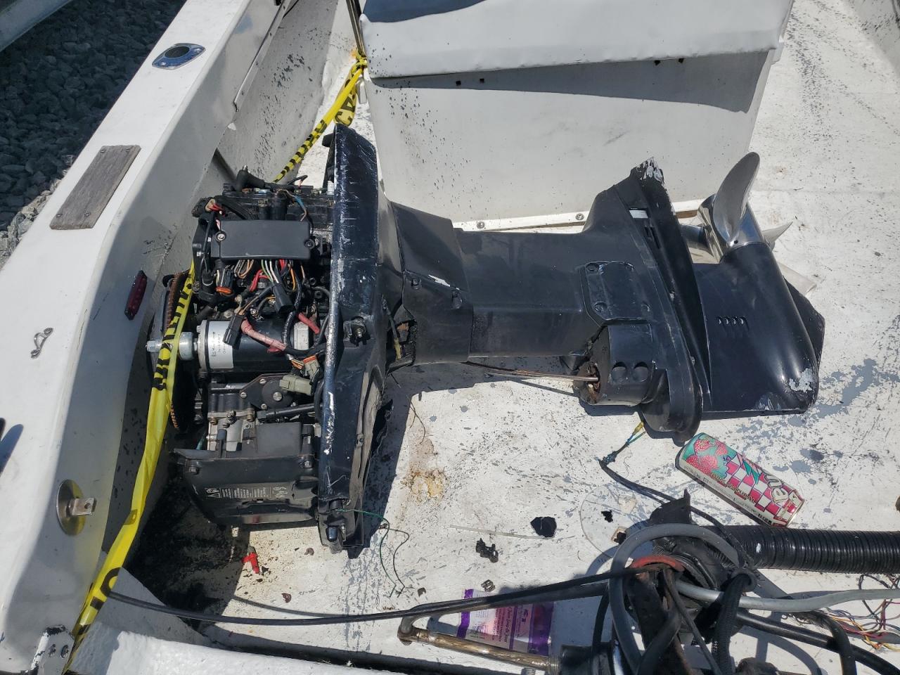 Dusky Open Fishe Image 4