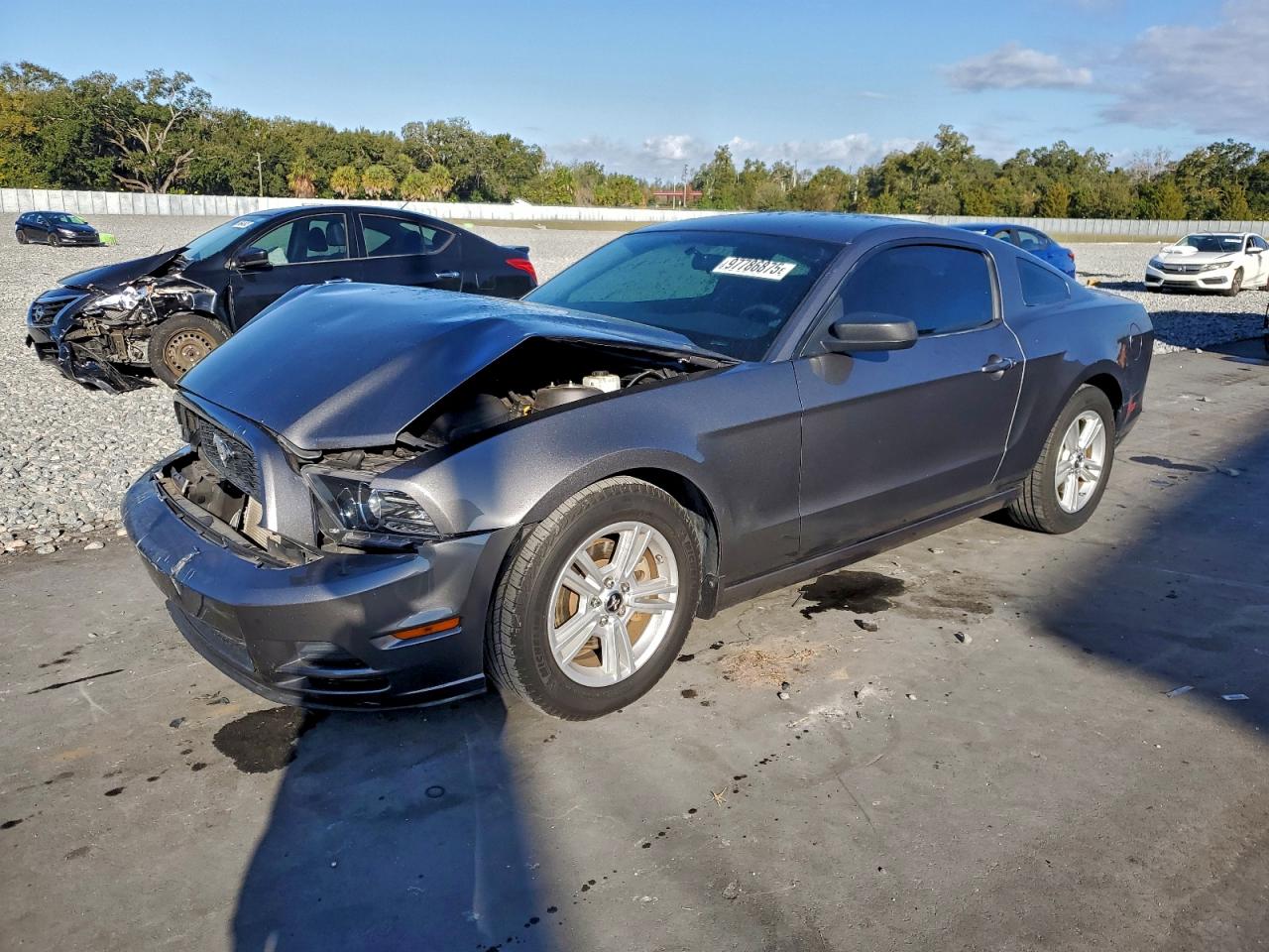 Ford Mustang Image 1