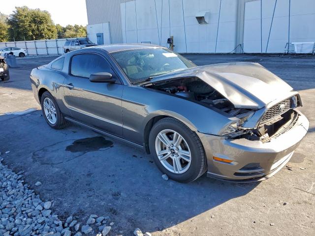 Ford Mustang Image 3