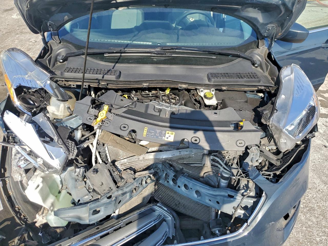 Ford Escape Se Image 9