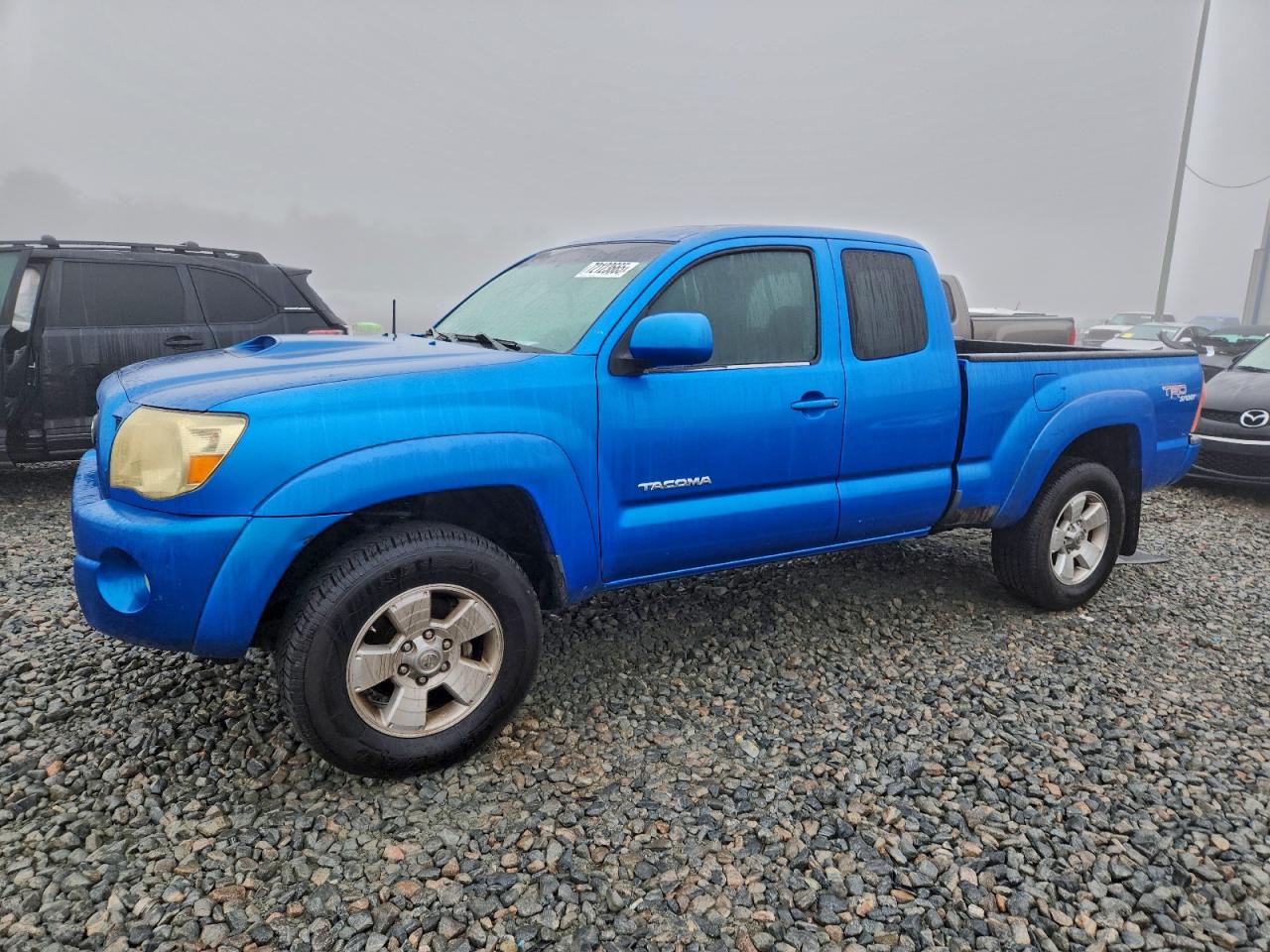 Toyota Tacoma Prerunner Access Cab Image 1