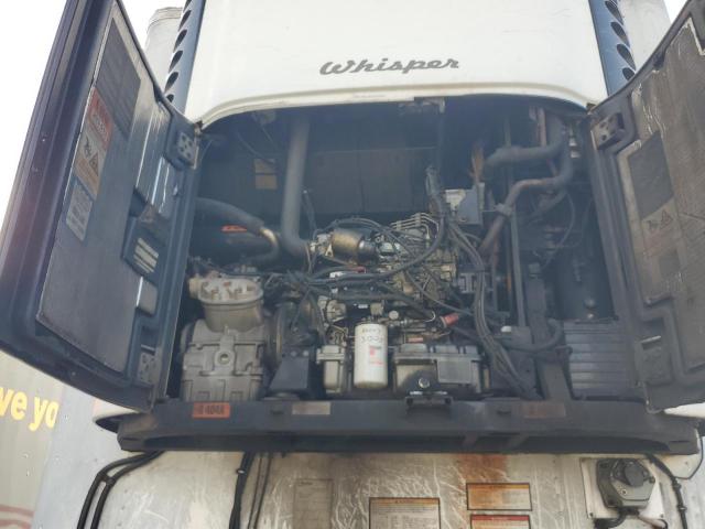 Great Dane Other Image 10