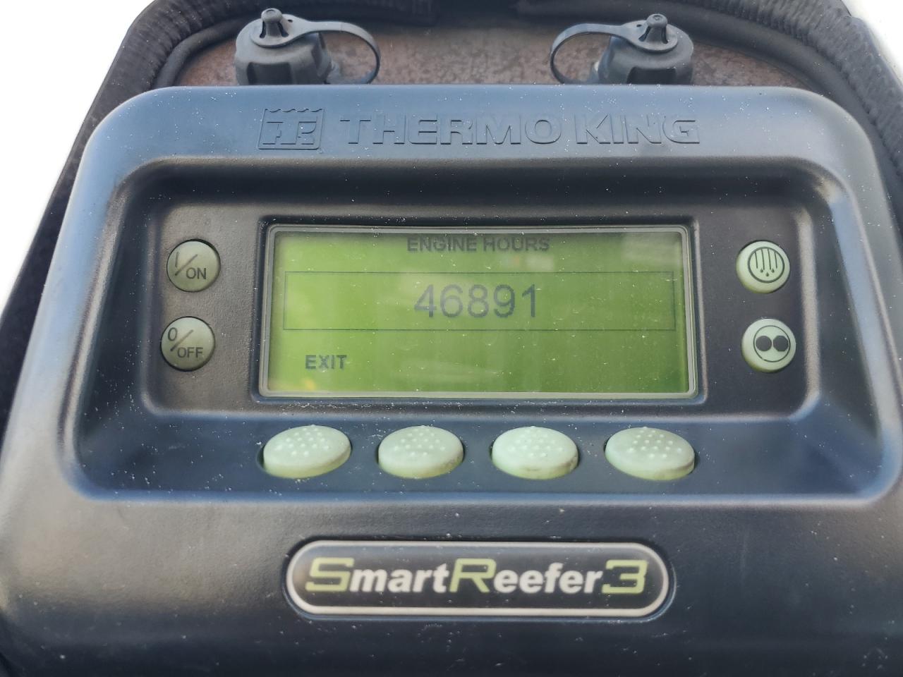 Great Dane Other Image 5