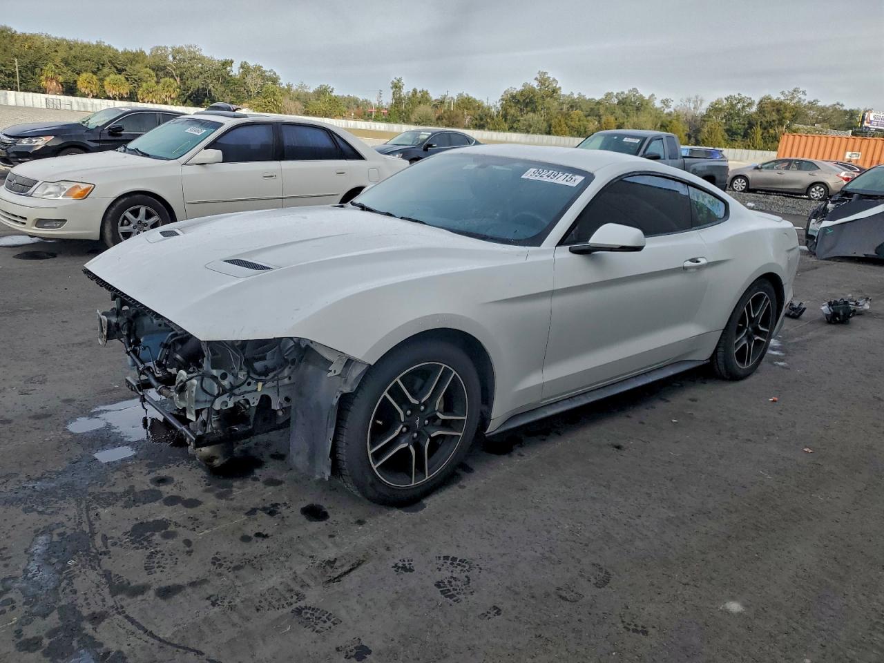 Ford Mustang Image 1