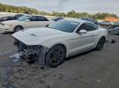 Ford Mustang Image 1