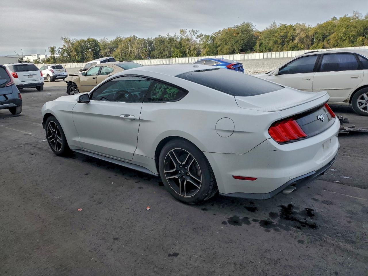 Ford Mustang Image 2