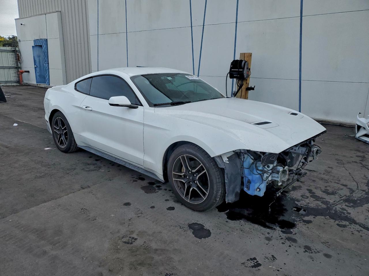 Ford Mustang Image 5