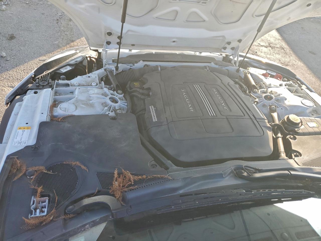 Jaguar F-TYPE Image 11